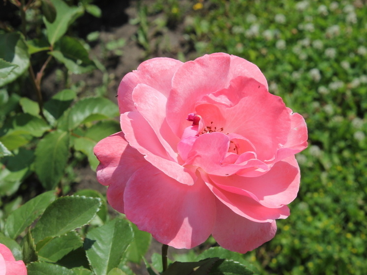     фото: мк в самаре