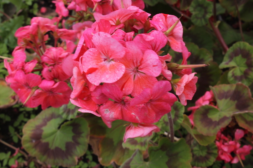     фото: мк в самаре