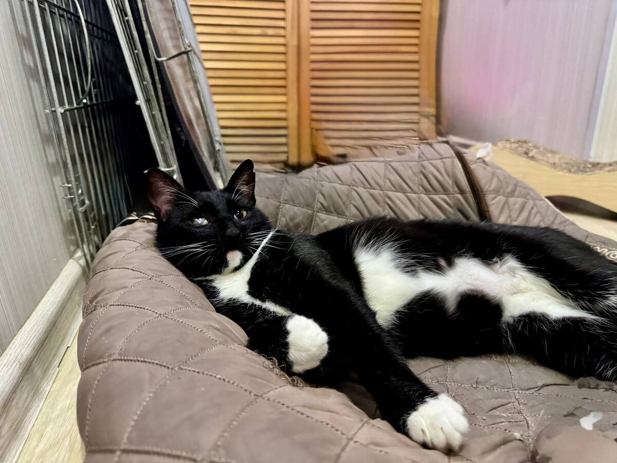 Это про меня? Про меня, да? Рассказывай, мне нравится!