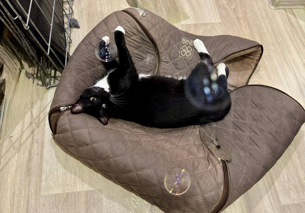 Пузыри видите? А они есть! 