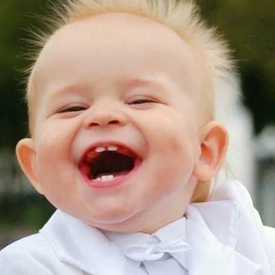 фото из яндекса.