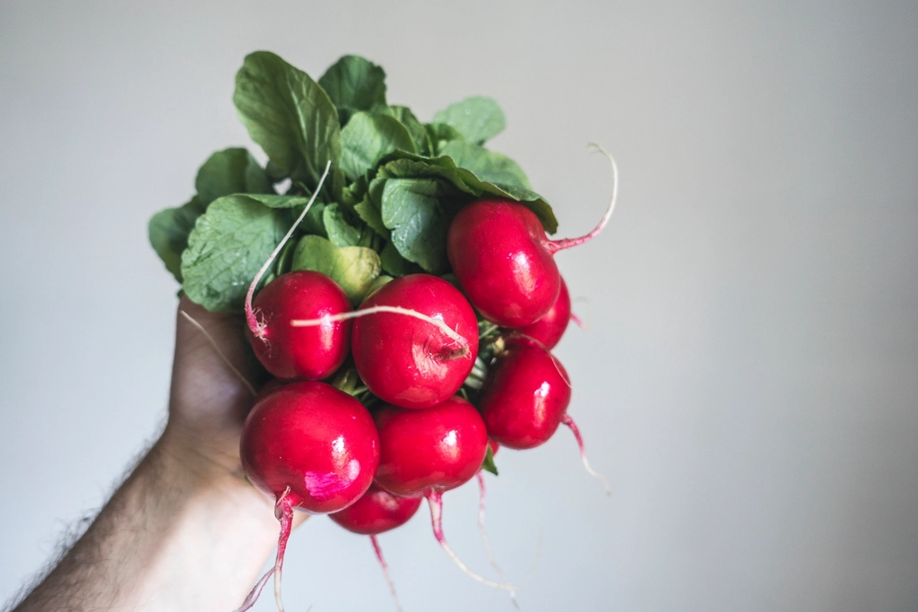 Фото: Jakub Kapusnak  / openverse.org