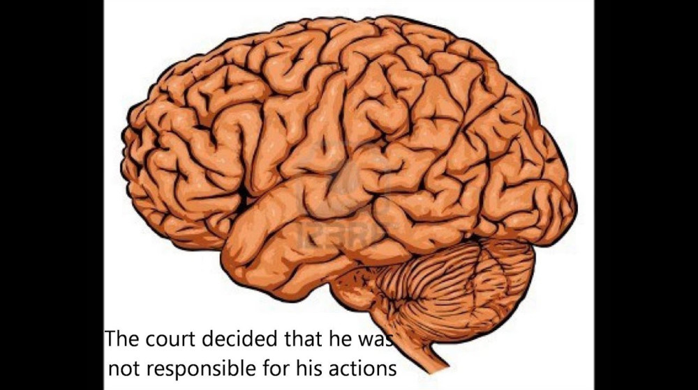    ТикТок и мозг: как короткие видео меняют нашу нейрофизиологию