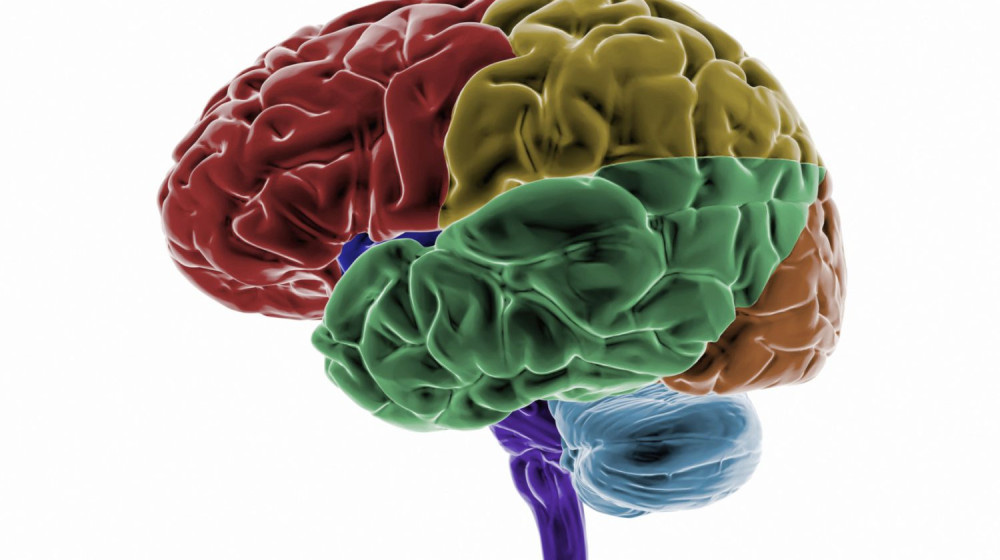    ТикТок и мозг: как короткие видео меняют нашу нейрофизиологию