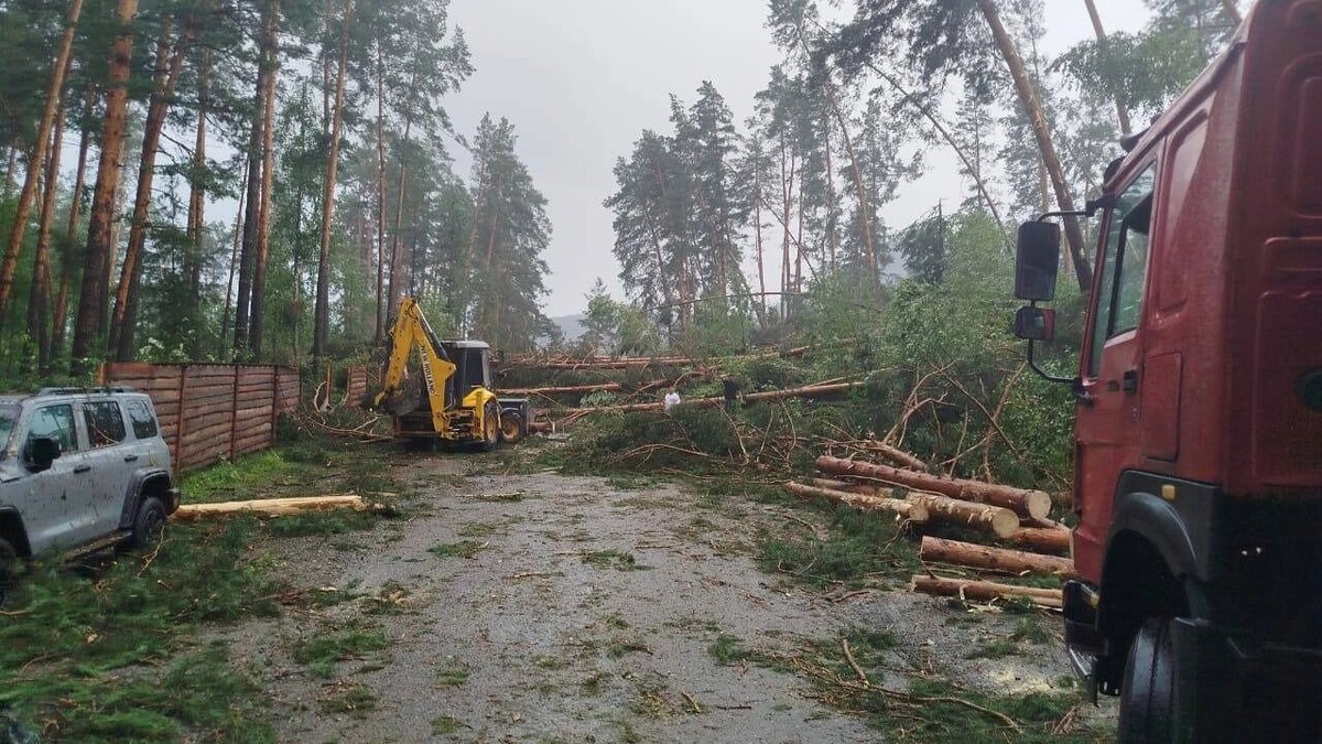     Автор: Марина Курилко