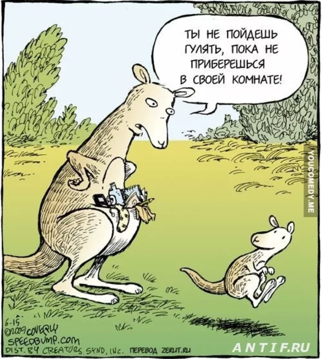 Из всемирной паутины