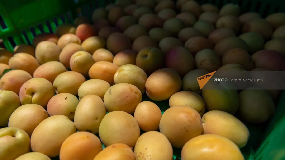 © Sputnik / Aram Nersesyan