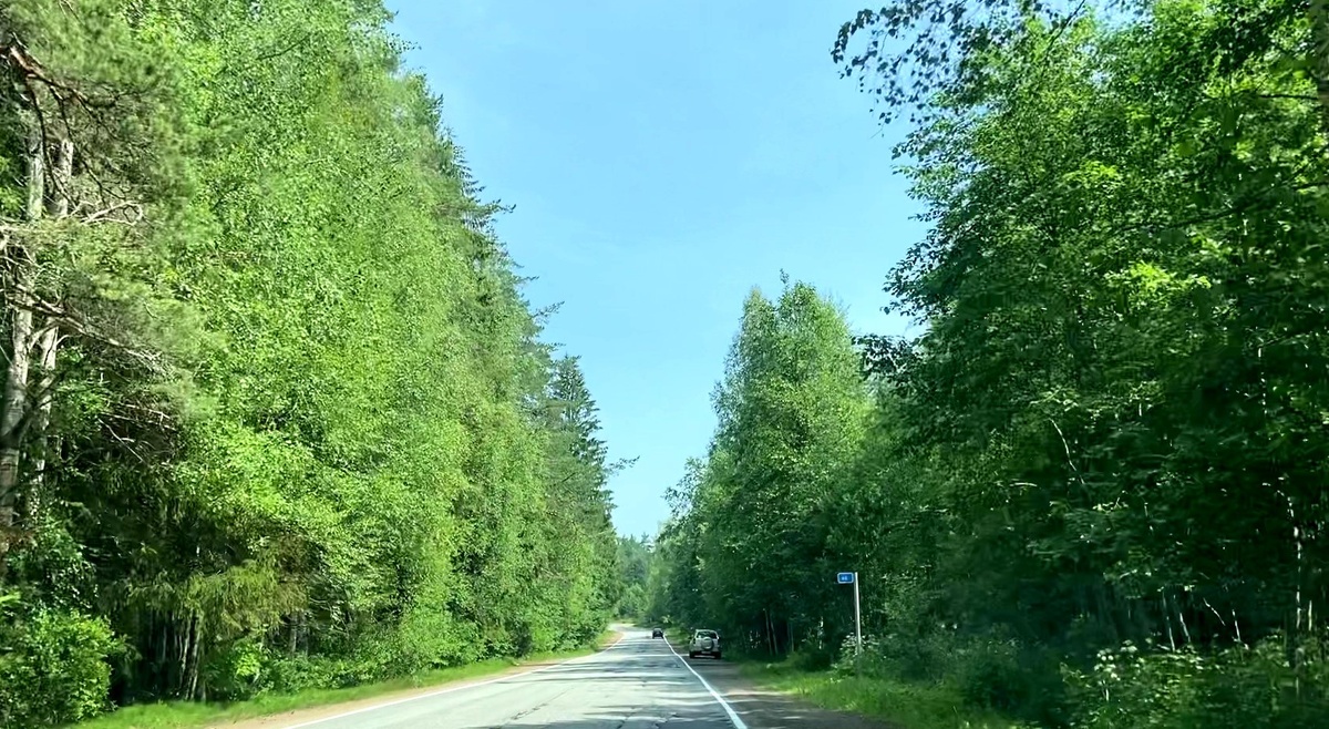 Утром уже грибники вдоль дороги стояли.