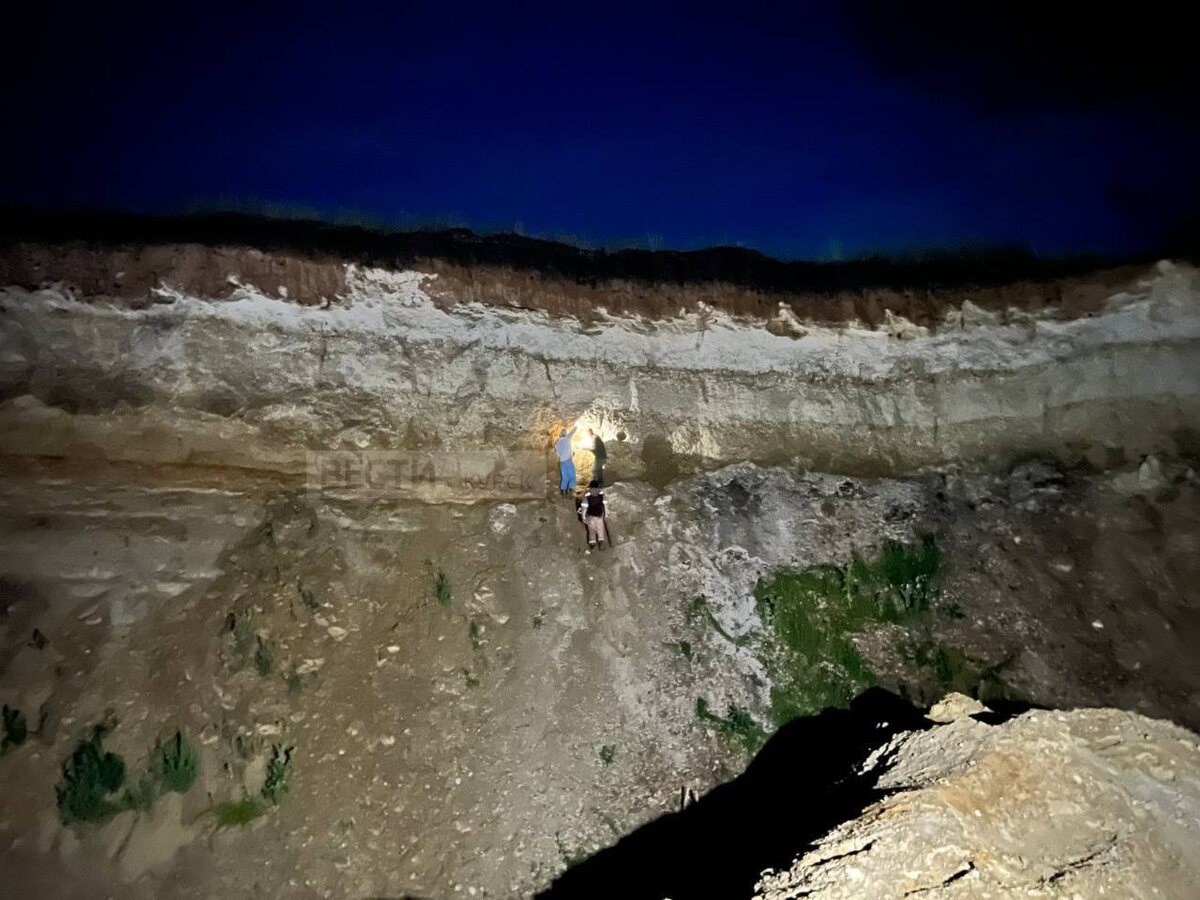    В песчаном карьере искатели из Курского палеонтологического сообщества откопали скелет ихтиозавра