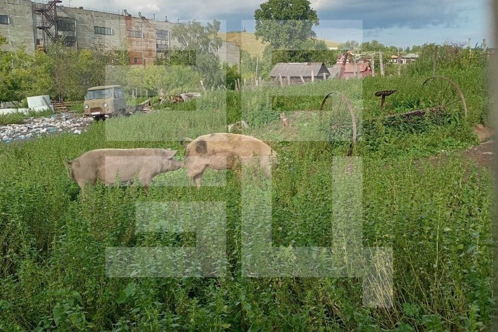    Фото © Telegram / Абзац