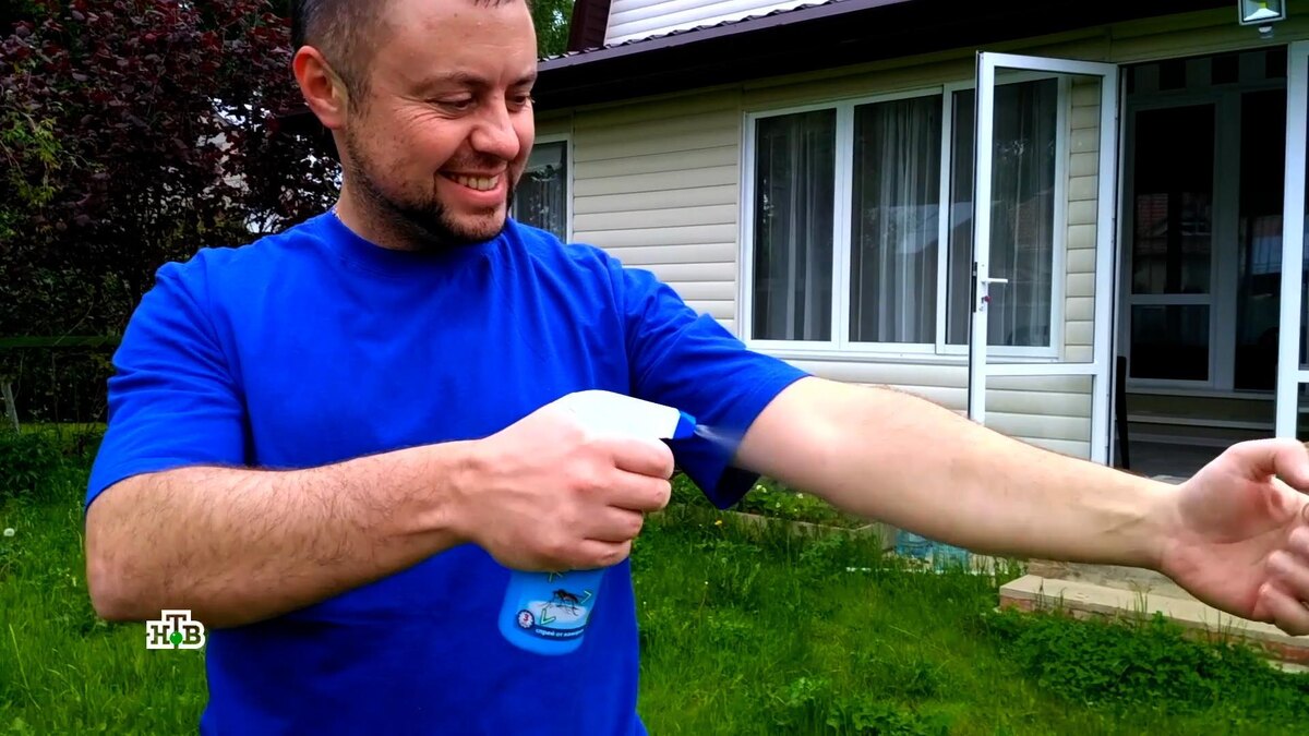    Лучшая защита от комаров