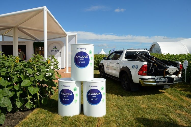    Как повысить урожаи в засуху: итоги обсуждения на Всероссийском дне поля