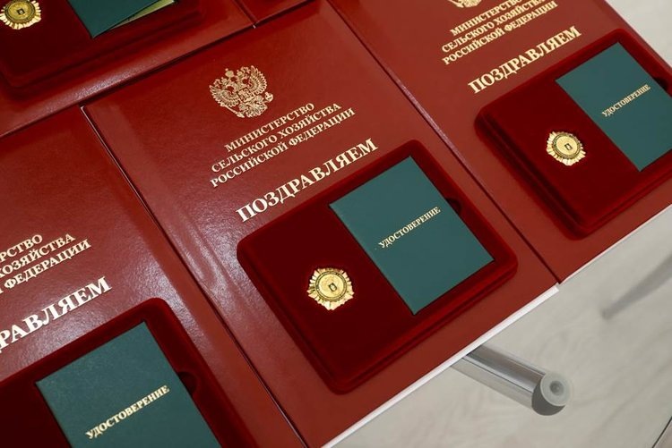     Как повысить урожаи в засуху: итоги обсуждения на Всероссийском дне поля
