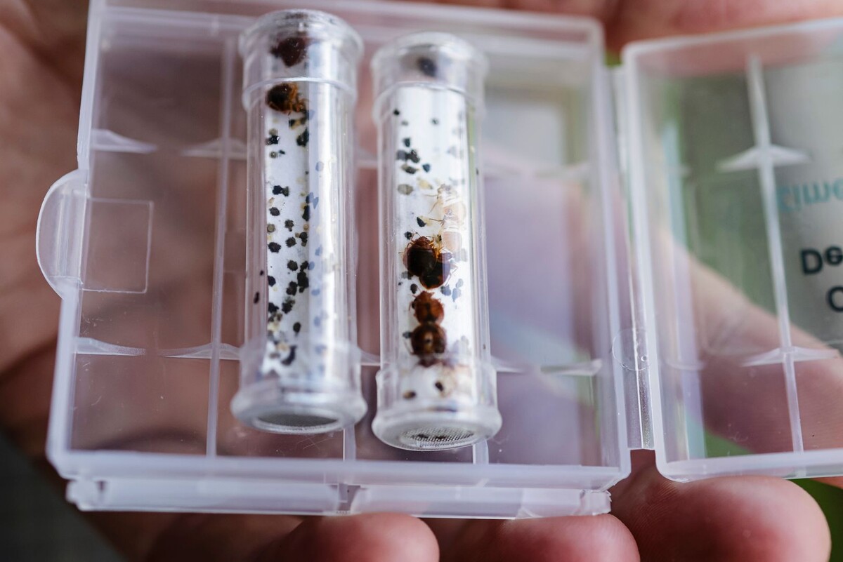     / Источник: © Global Look Press