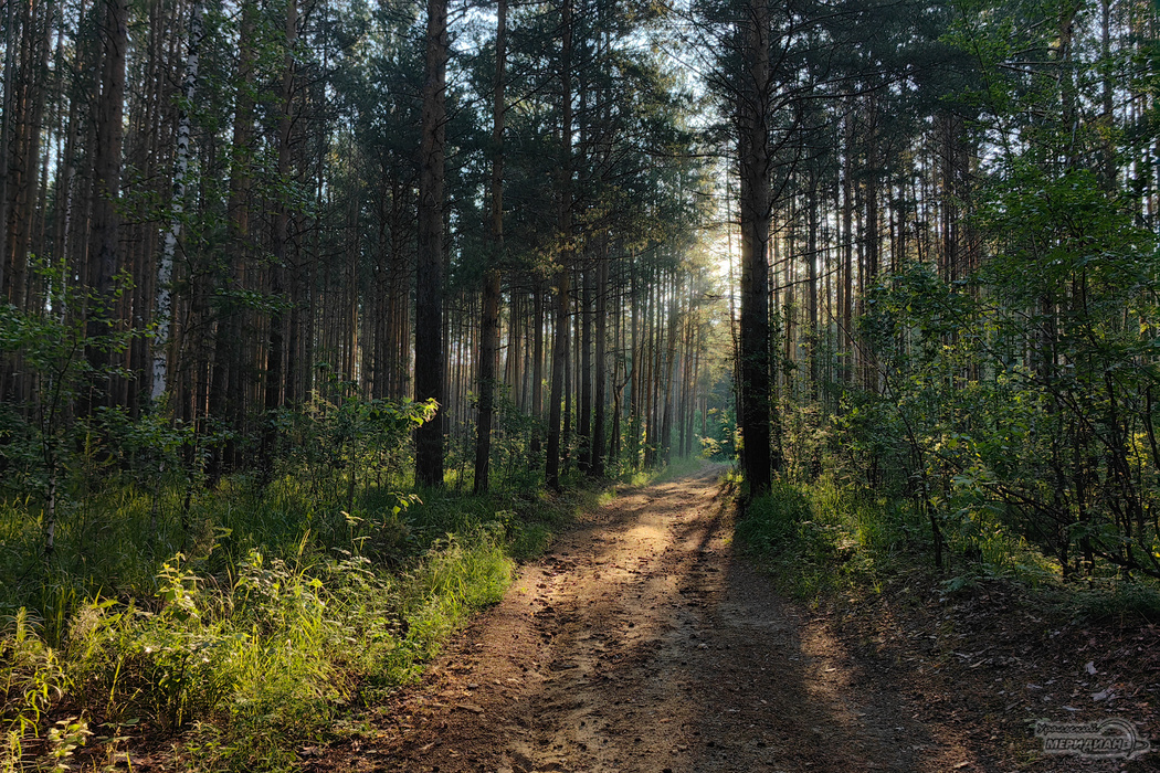    Фото: Лидия Аникина © ИА «Уральский меридиан»