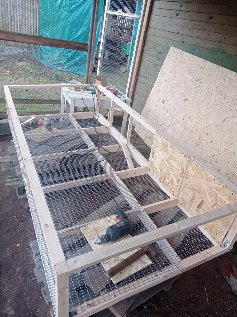 Строительство маточной клетки на 5 самок с отсеками для гнезд