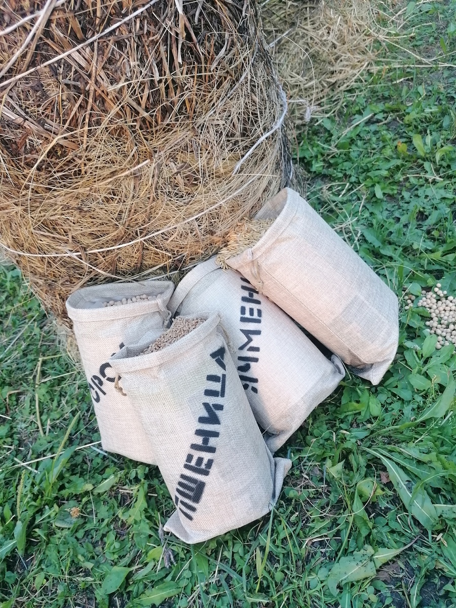 Зерно кстати в мешках настоящее. 