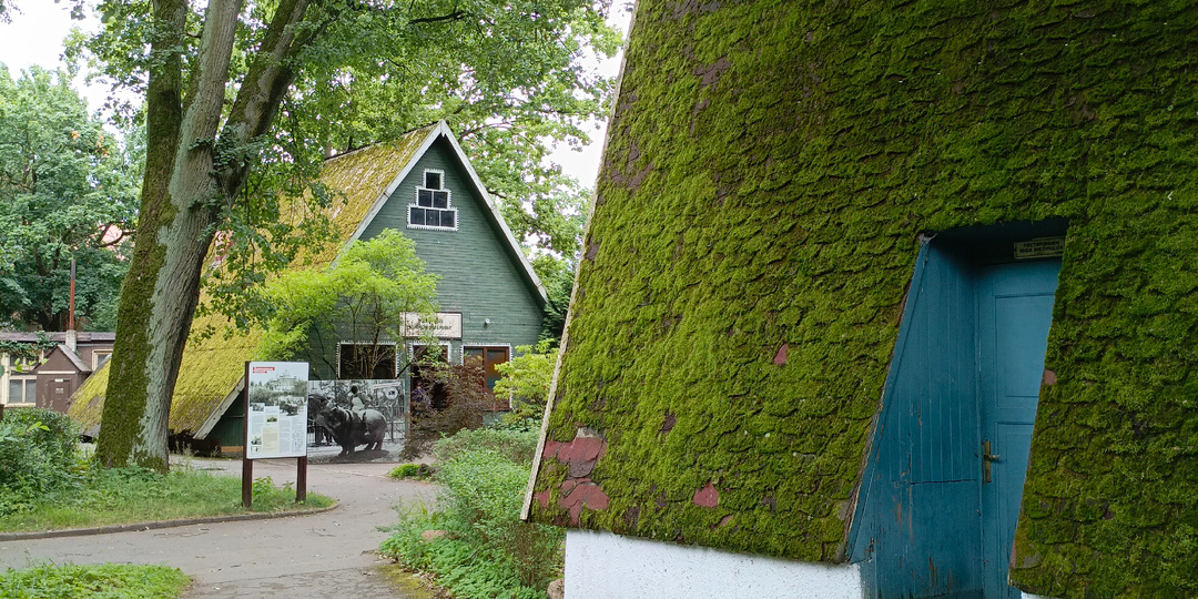 Калининградский зоопарк. Стоит ли посещать в 2025 году?