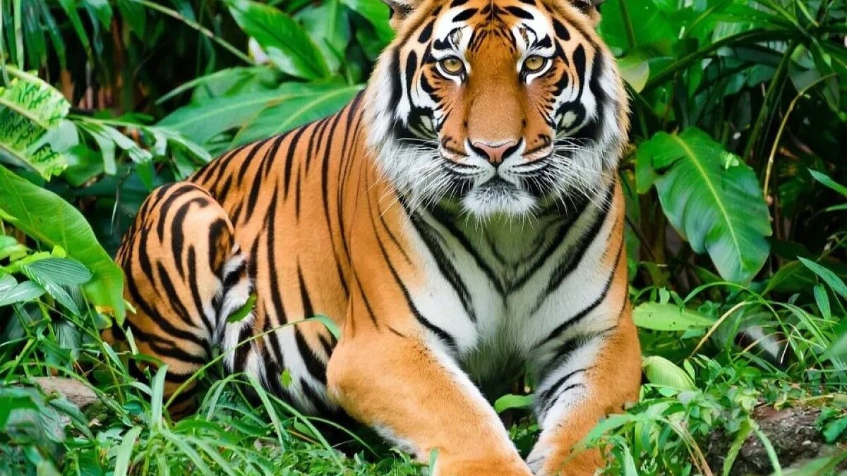    Изображение сгенерировано с помощью ИИ.