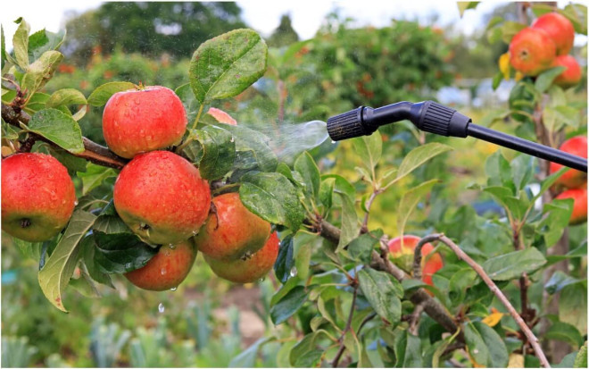 Источник фото: shutterstock.com