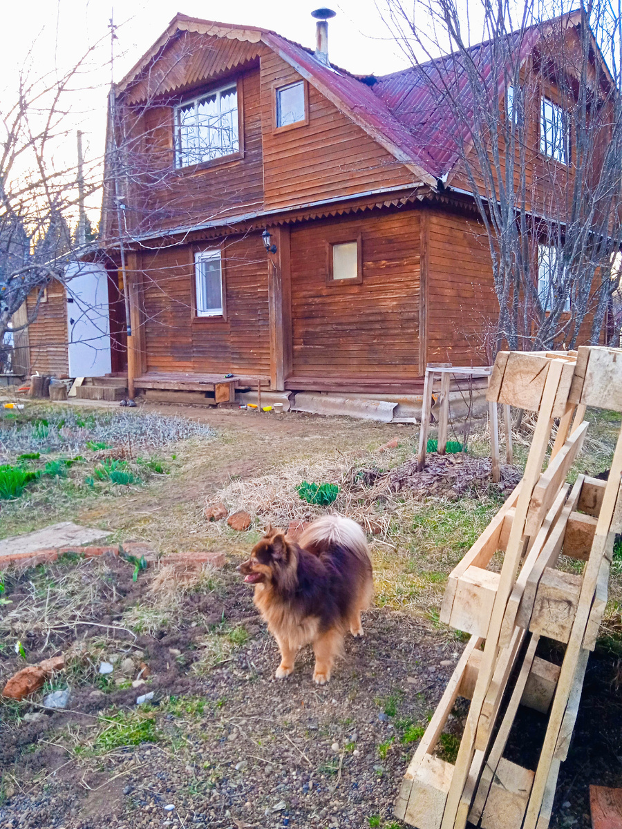 Поддоны из которых мы сделали скамейку