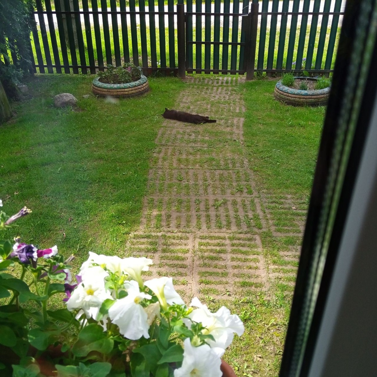 Вход запрещен)