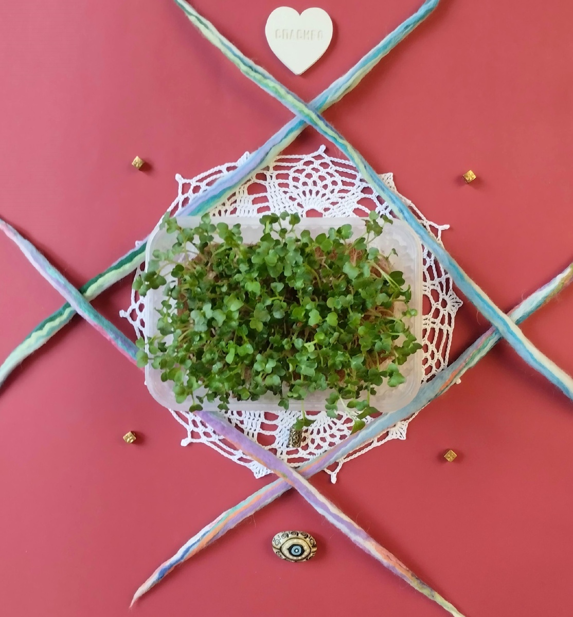 Микрозелень редьки.