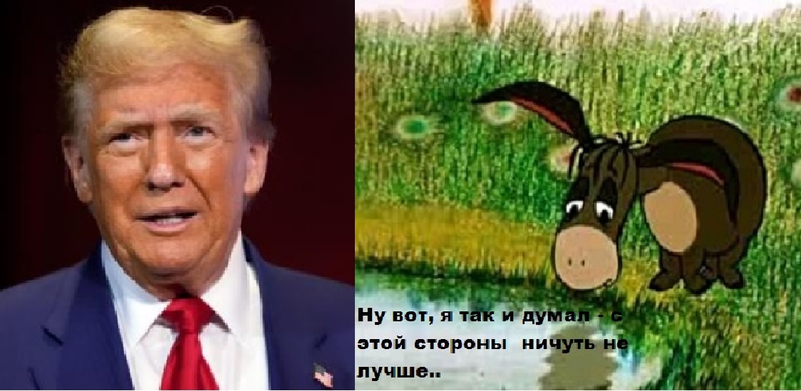 (материал из открытых источников)