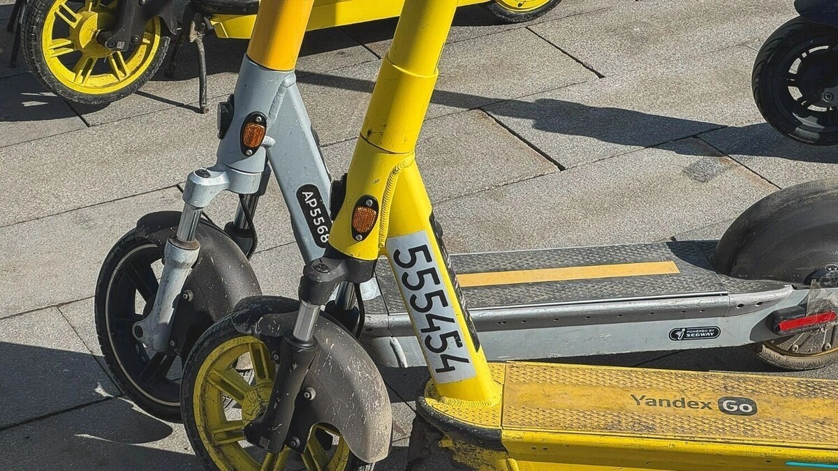     Источник: novostivolgograda.ru