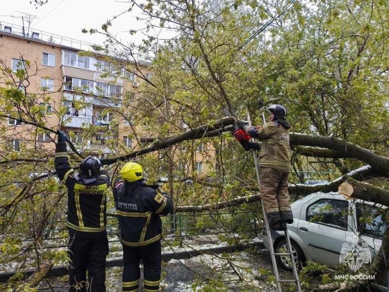   Фото: МЧС России