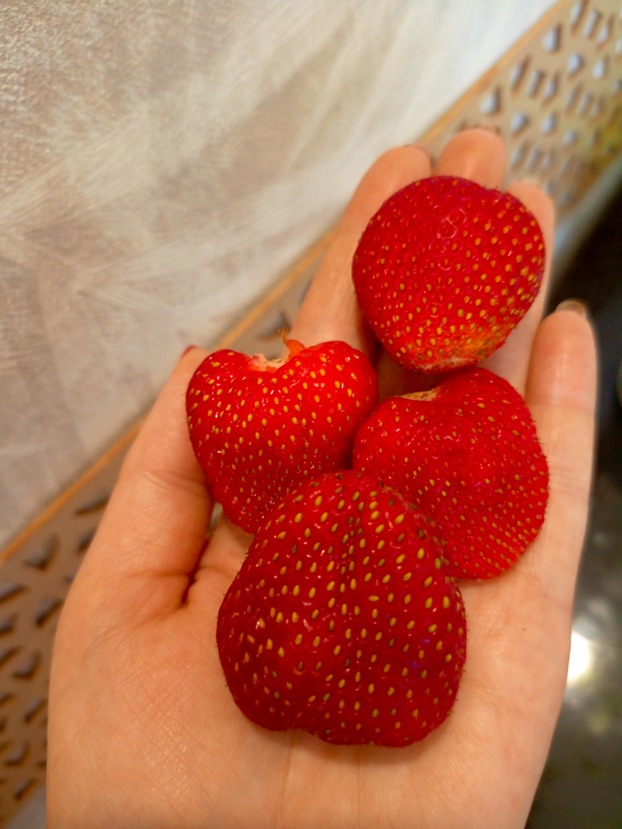 Кабрилло - клубника нейтрального светлого дня, плодоносит до сентября, требует частых подкормок.