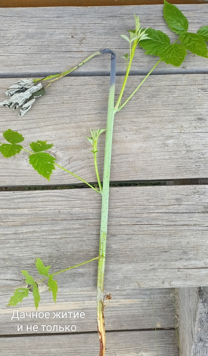 Начало процесса