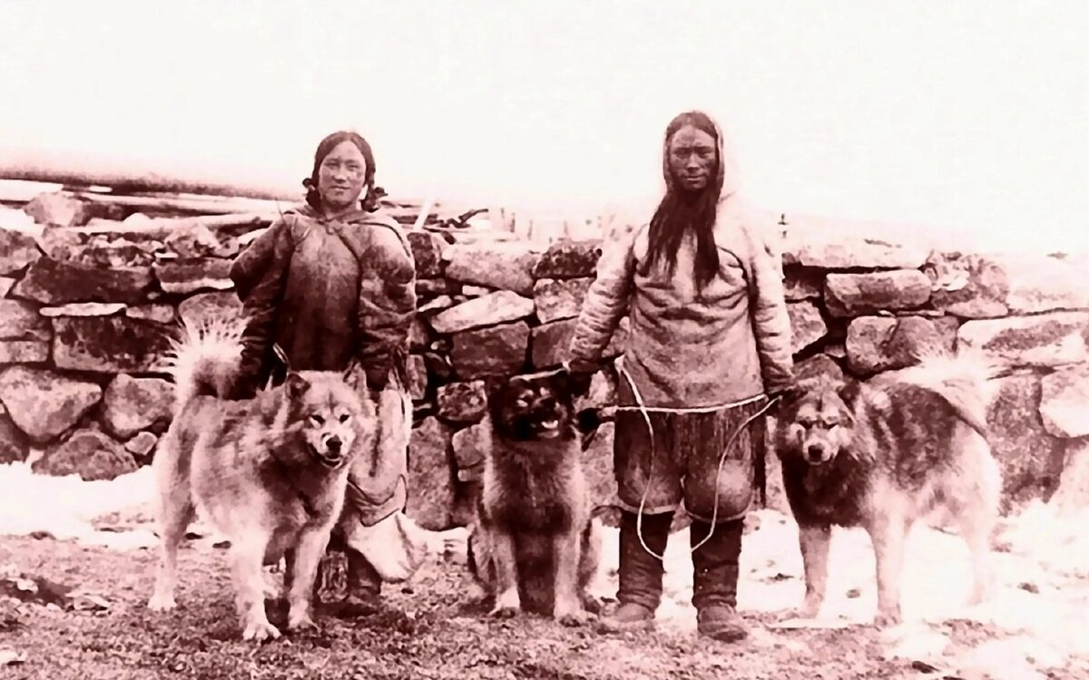 Фотография из интернета