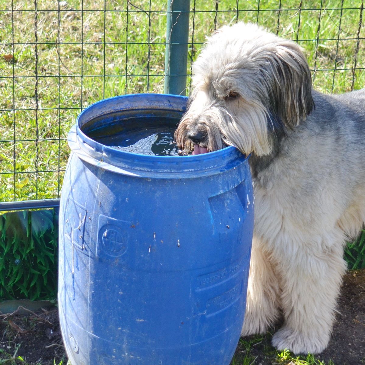 "Миска", которую довольно сложно перевернуть. Фото из личного архива