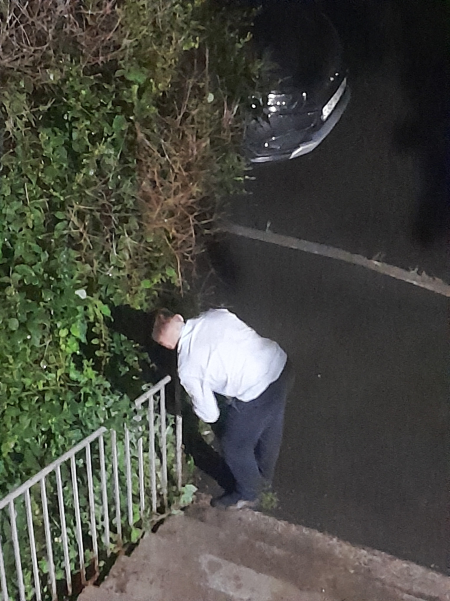 Это он уже встал, пытается на перила искать