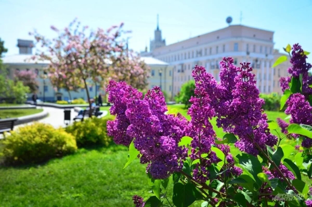    Синоптик Роман Вильфанд рассказал, когда в Москву придет похолодание