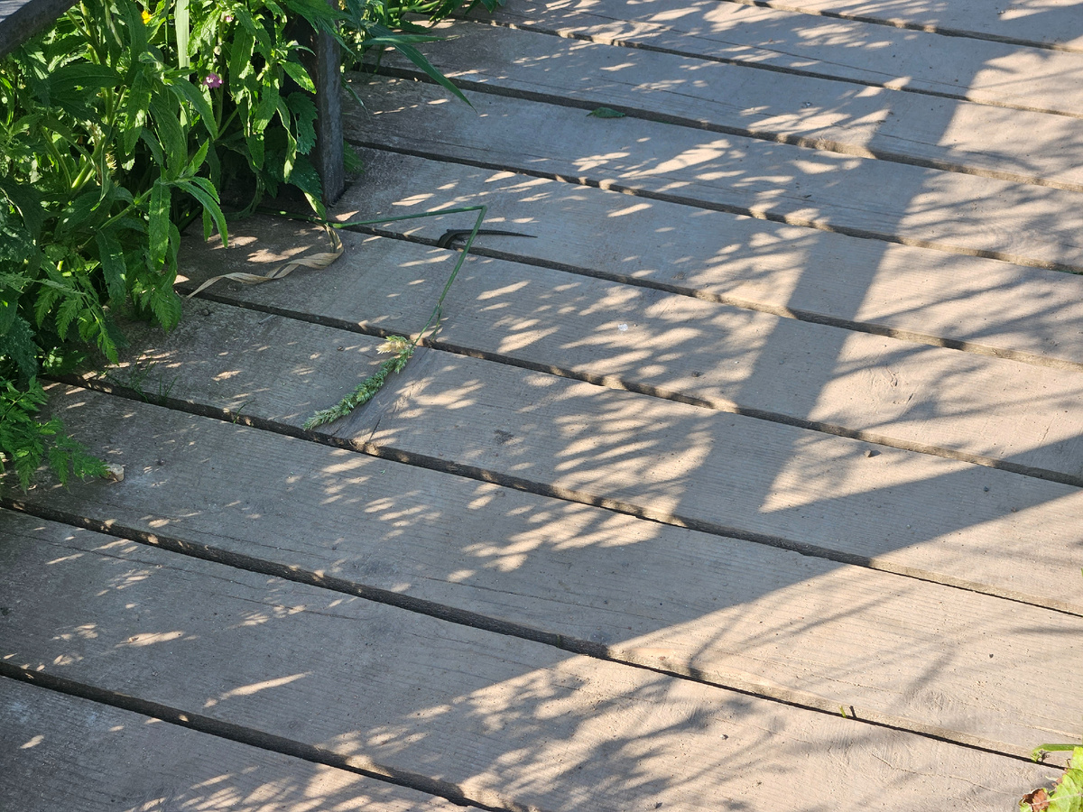 Получился только хвостик.