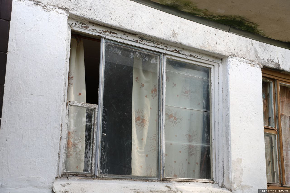 Фото: пресс-служба УМВД РФ по Псковской области