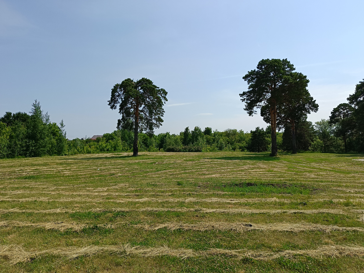 Выьор между ботинками и кроссовками, это как выбормежду этими деревьями, кому какое больше нравится тот к тому и подйдет