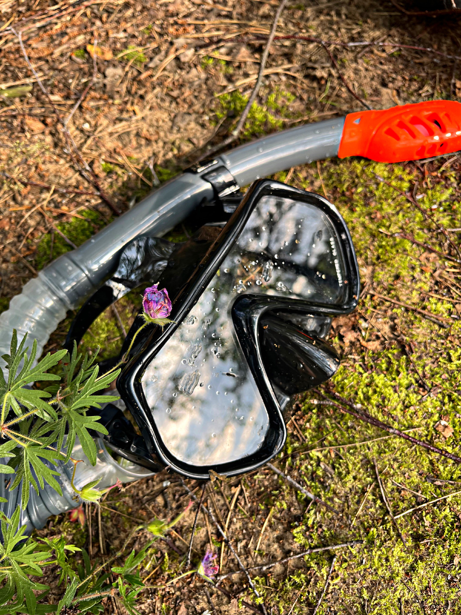 Запотевшая маска во время погружения – это не просто досадное неудобство, а потенциально опасная ситуация, способная испортить впечатление от подводного мира и создать риск для безопасности. К счастью, существует один интересный лайфхак . 