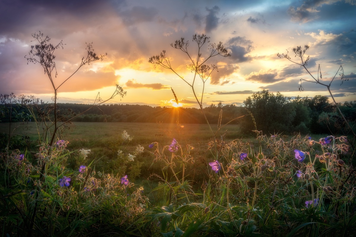 Перед закатом. Фото Михаила КАРПОВА.
