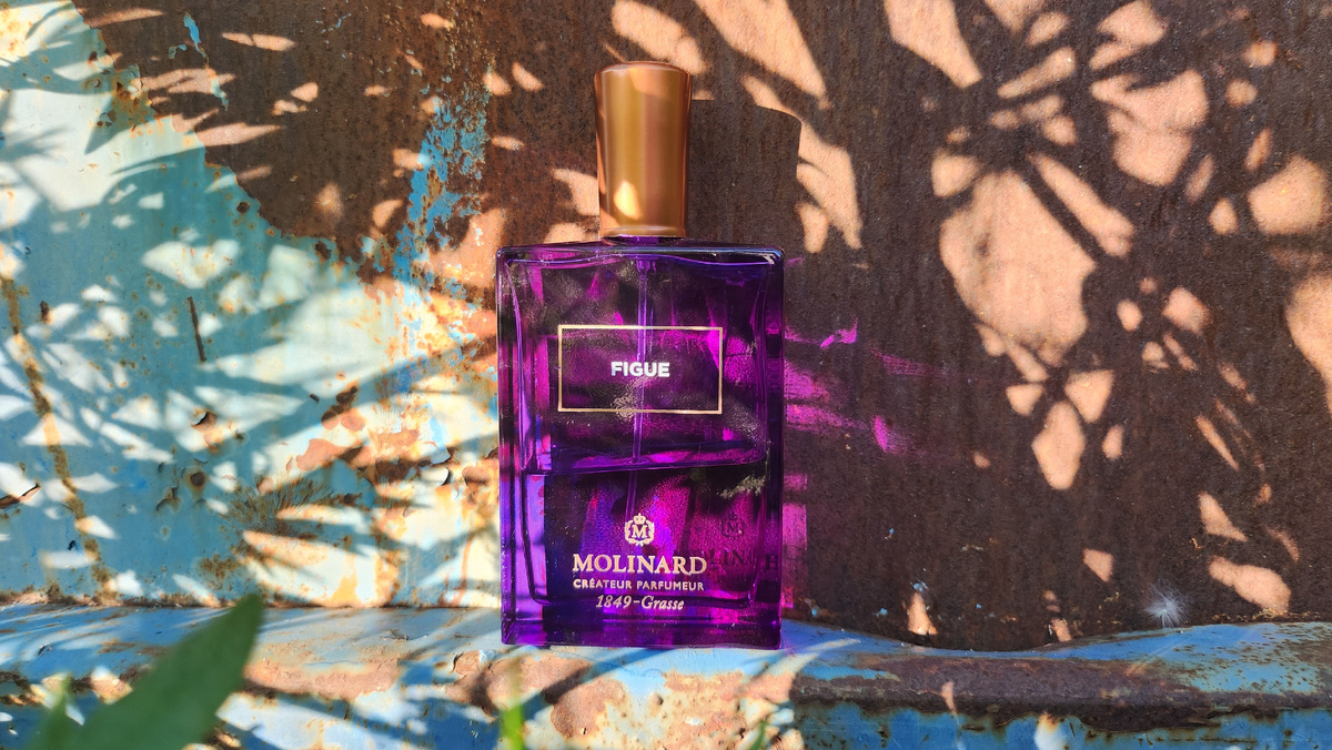 Аккорды и основные ноты в галлерее, листай карусель