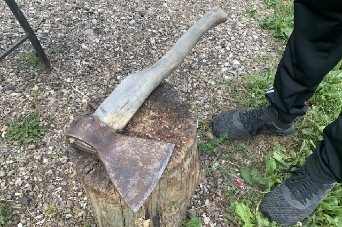    Житель Удмуртии зарубил соседку топором за замечание о громкой музыке