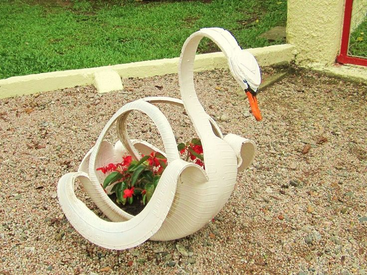 Фото из открытых источников Яндекса