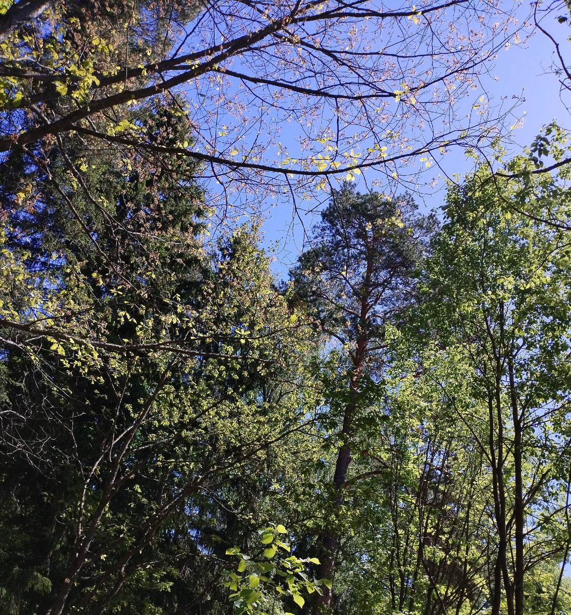 Хочется, чтобы настроение всегда было таким же солнечным, как это фото.