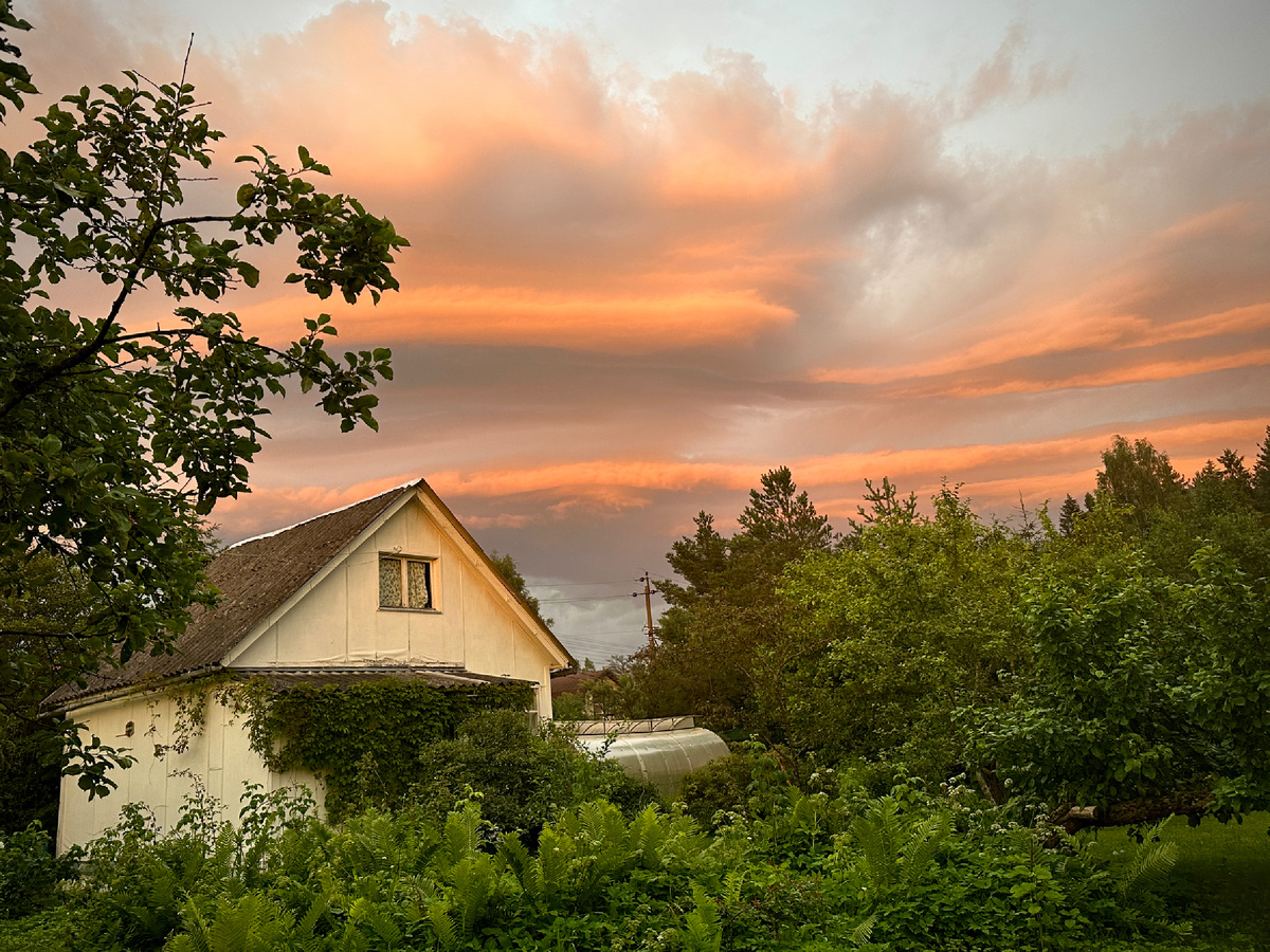 Перед вечерней грозой