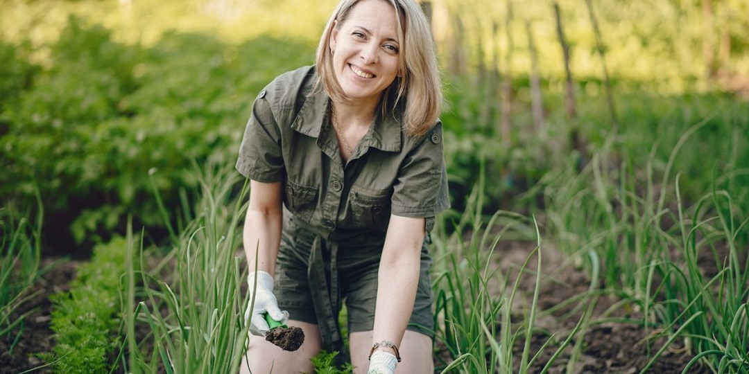 Чем и как подкормить огурцы, перцы, помидоры и капусту в июле: проверенные средства и рецепты