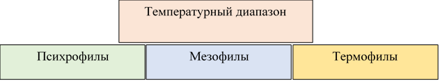 Классификация микрооргнизмов в зависимости от температурного диапозона 