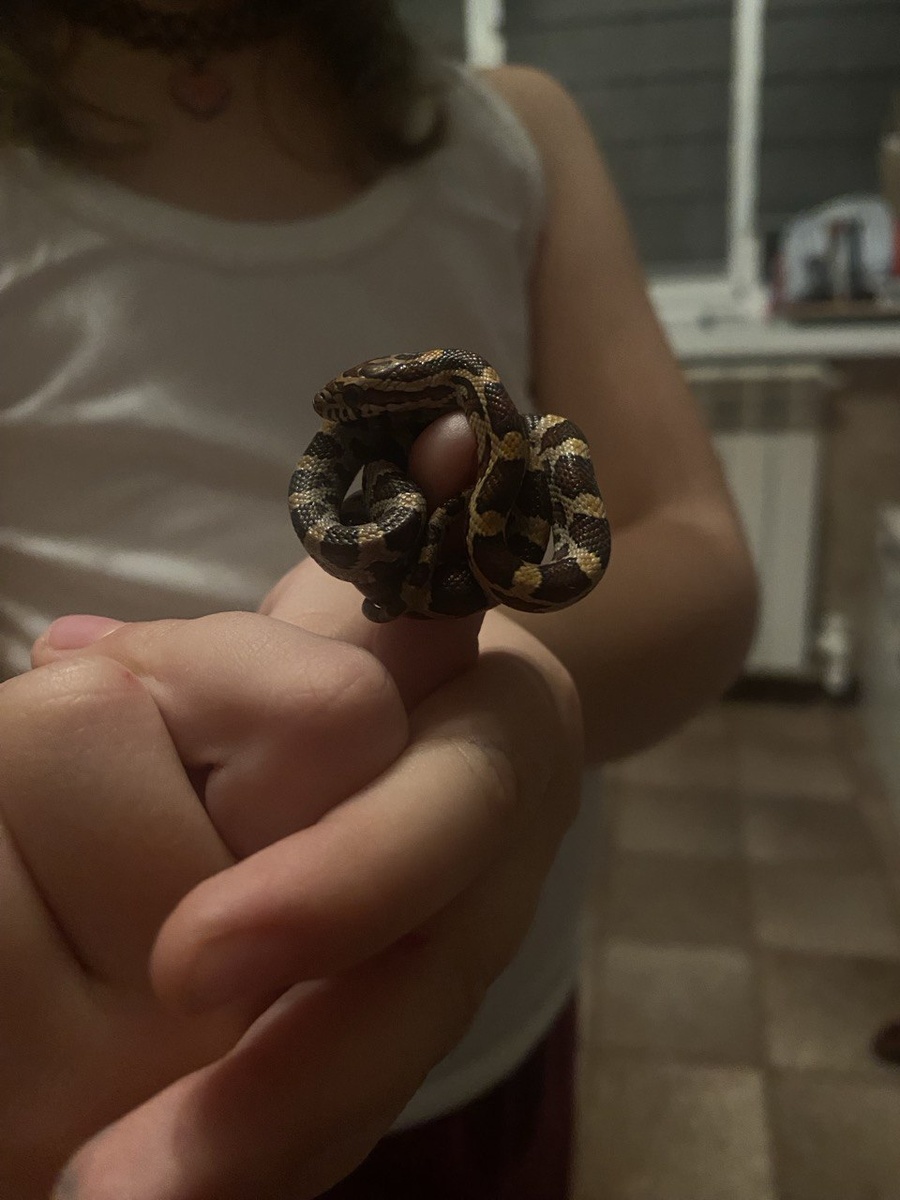 Вот такая она маленькая была в первый месяц после своего рождения