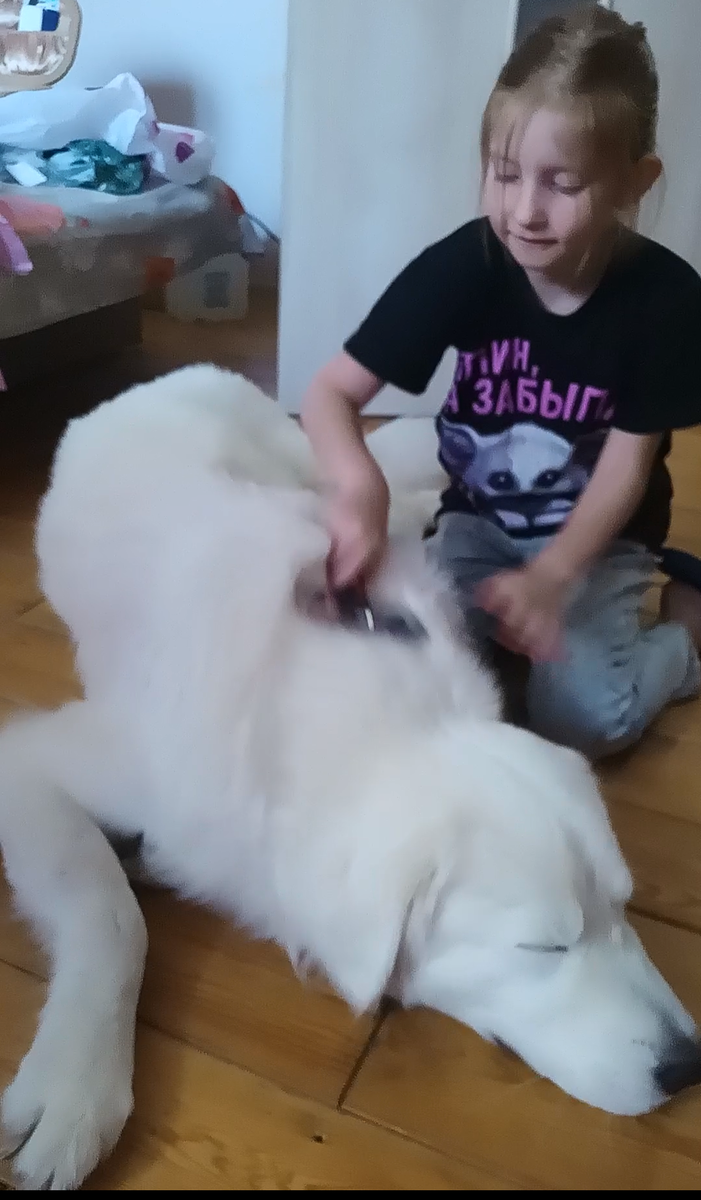 Граф прибалдел от вычесывания